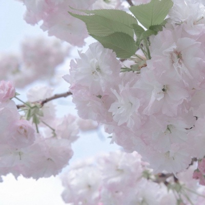 兽设插画构图技巧福瑞交流群